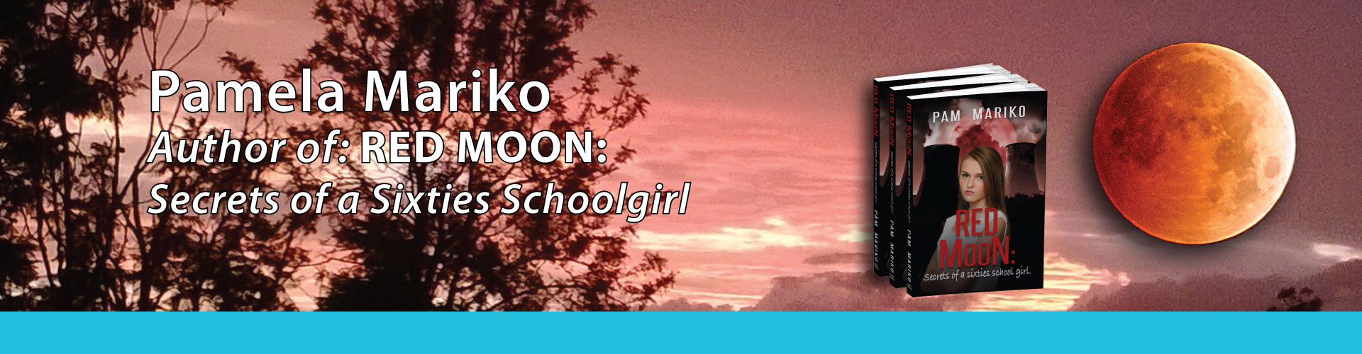 Pamela Mariko author Red Moon: secrets of a sixties schoolgirl feature image
