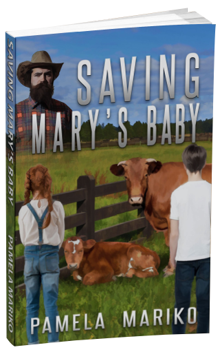 Saving Mary's Baby by Pamela Mariko